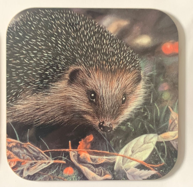 Coaster - Hedgehog design