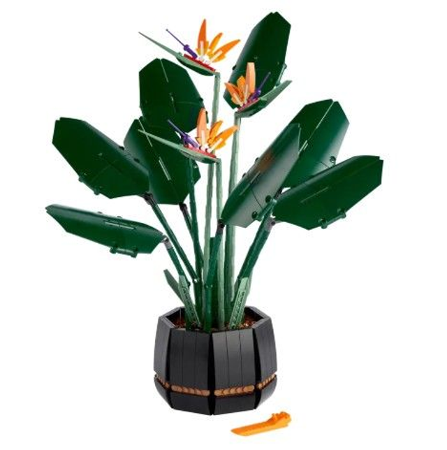 LEGO 10289 Botanicals Paradiesvogelblume