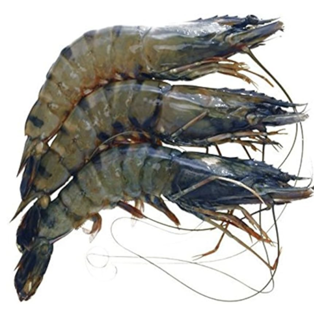Prawns