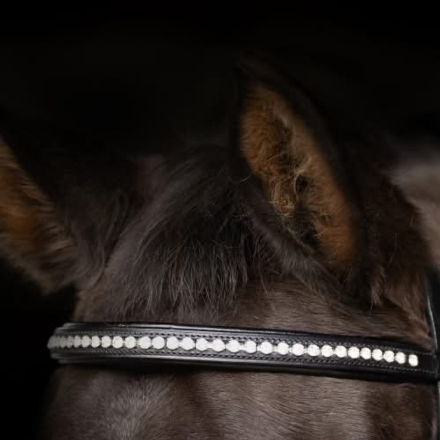 ProPresicce Signature Classic Diamante Browband