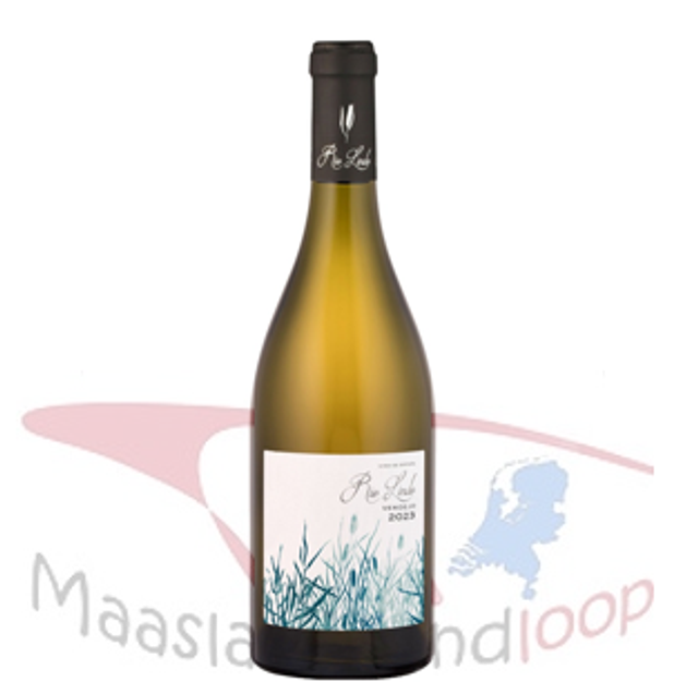 32 | Rio Lindo | Verdejo | Spanje | La Mancha | *3.9* | Goed Gewaardeerd!