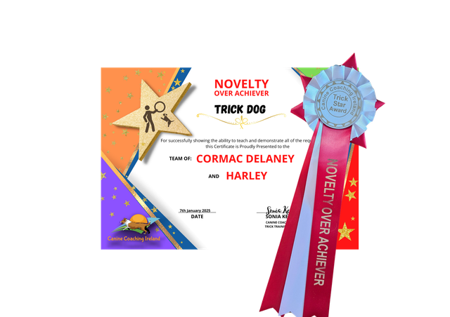 Novelty Over Achiever - Cert &amp; Rosette 
