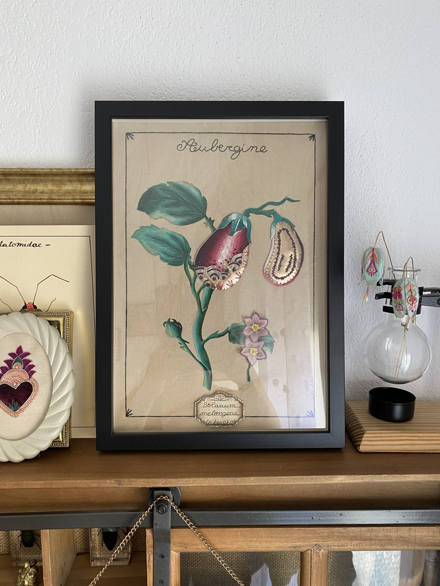 Planche botanique bordeaux rose l'aubergine