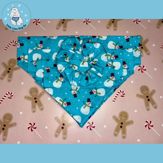 Snowman Party Blue Handmade Christmas Accessories 