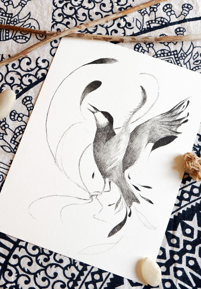 Illustration originale noir et blanc "La guifette moustac"