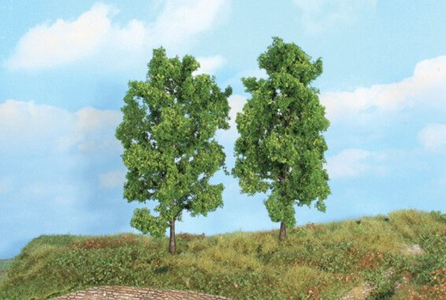 2 hêtres 18cm Héki 19103