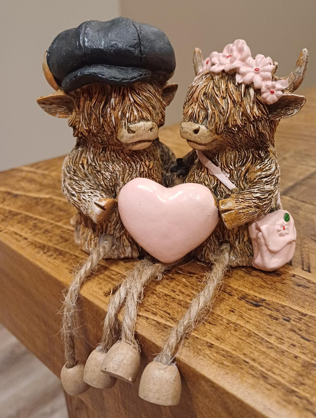 Highland Cow Couple Pink 