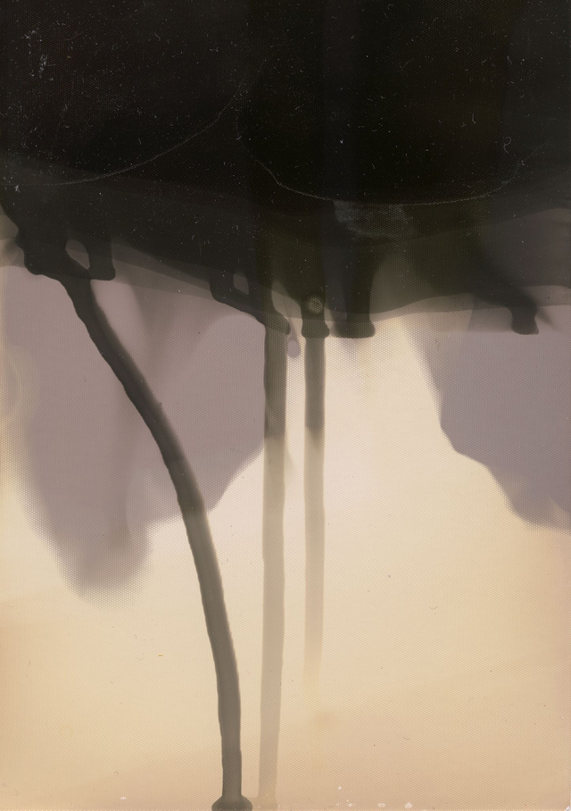 Abstract Chemigram with Drips