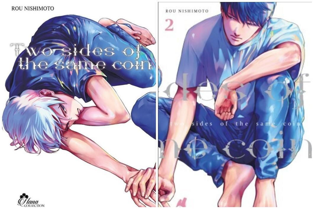 Two sides of the same coin-intégrale 