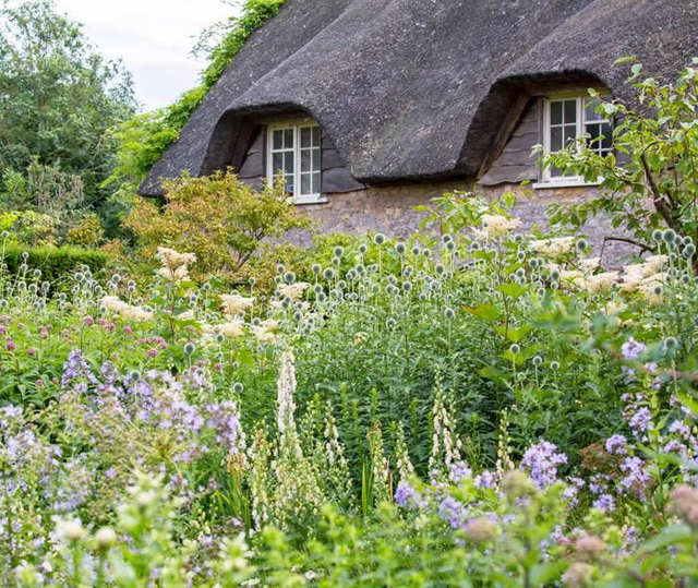 Сказочный Кодсвольд.