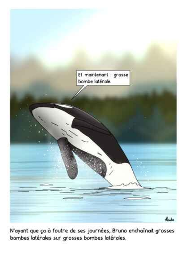 Grosse bombe latérale