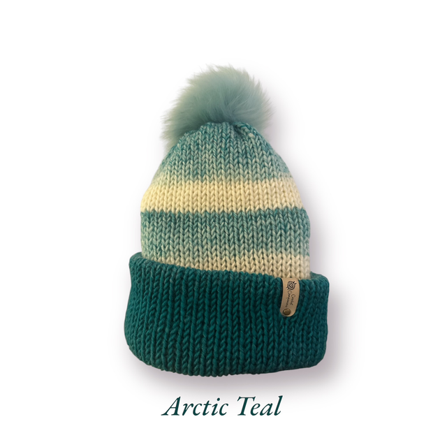 Arctic Teal