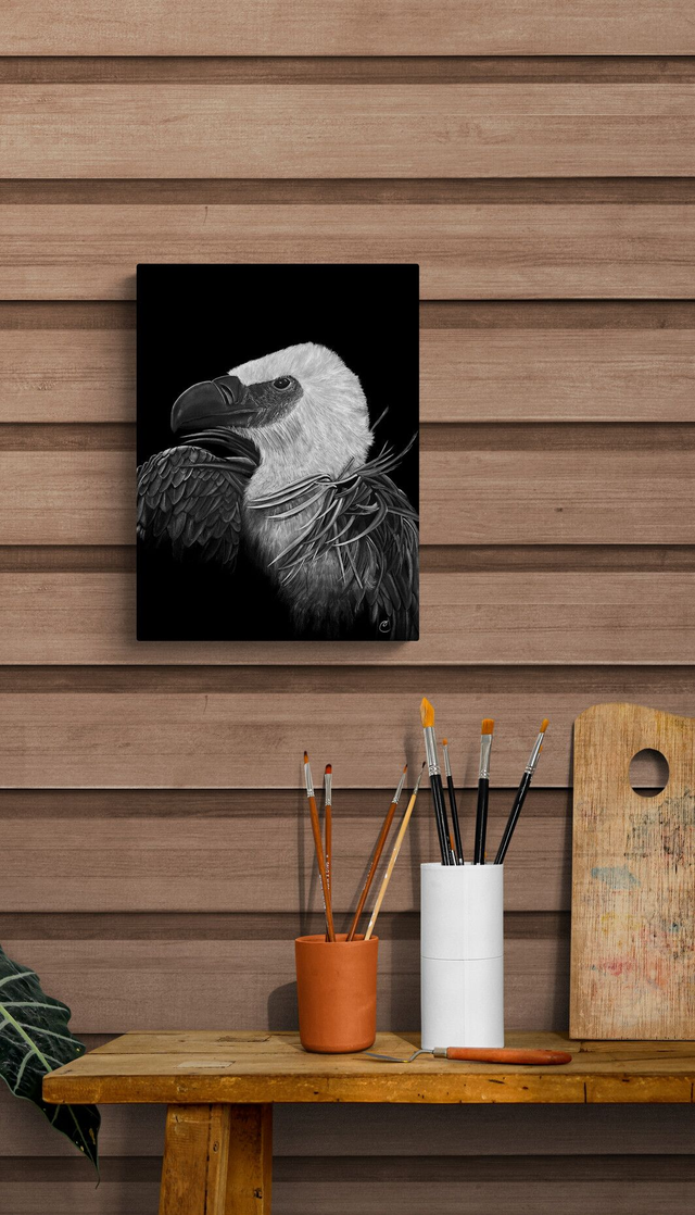 Reproduction Aquarelle Vautour Indien sur Alu - Tirage limité, numéroté et signé - 30x40cm