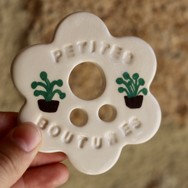 Disque de bouturage 🌱