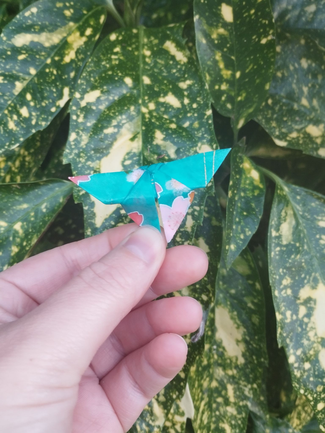 Broche en forme de papillon de couleur bleu ciel