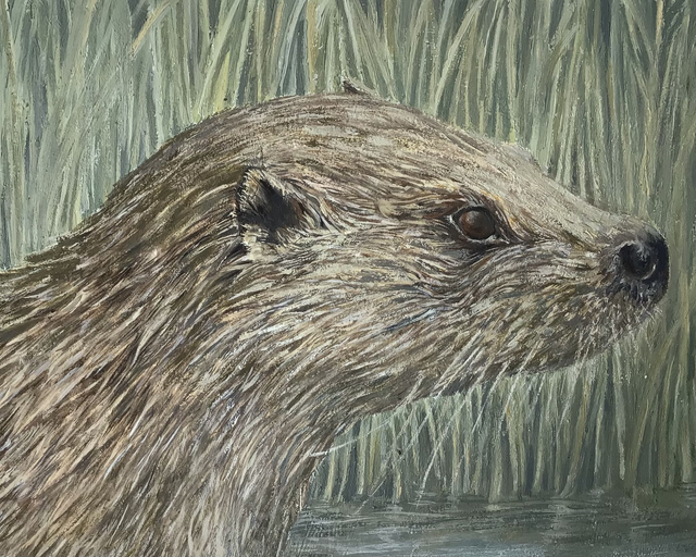 SP58 Otter by Shelagh Popham, 6.25 x 4.25" Oil