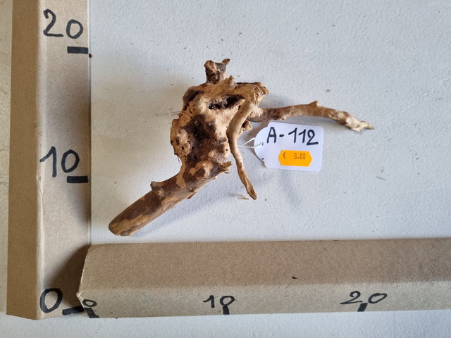 Racine araignée A-112