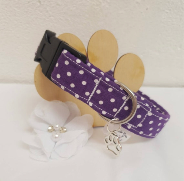 Purple Polkadot Collar   