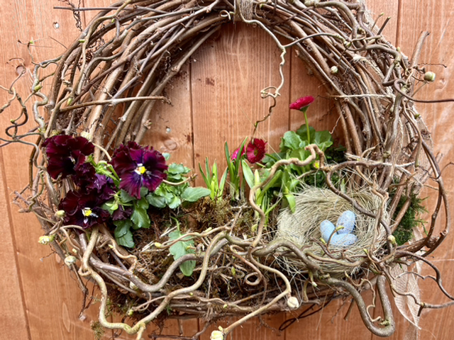 live plant spring wreath - medium 