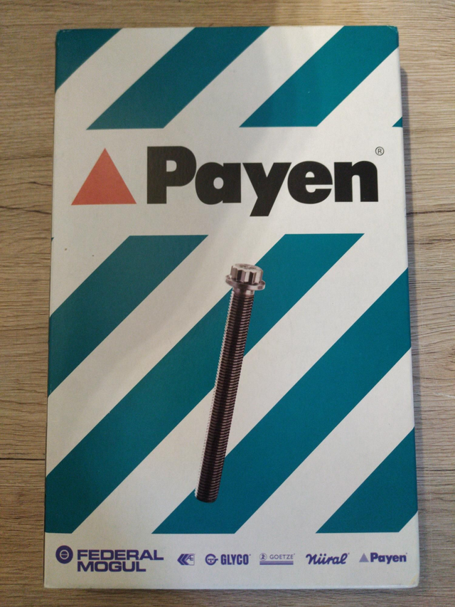 PAYEN Zylinderkopfschrauben Dehn Schrauben Satz 