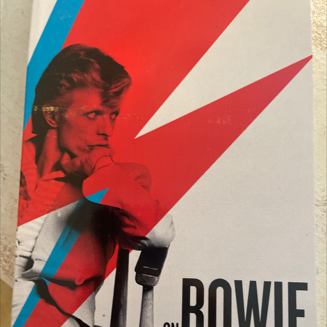 bowie simon critchley