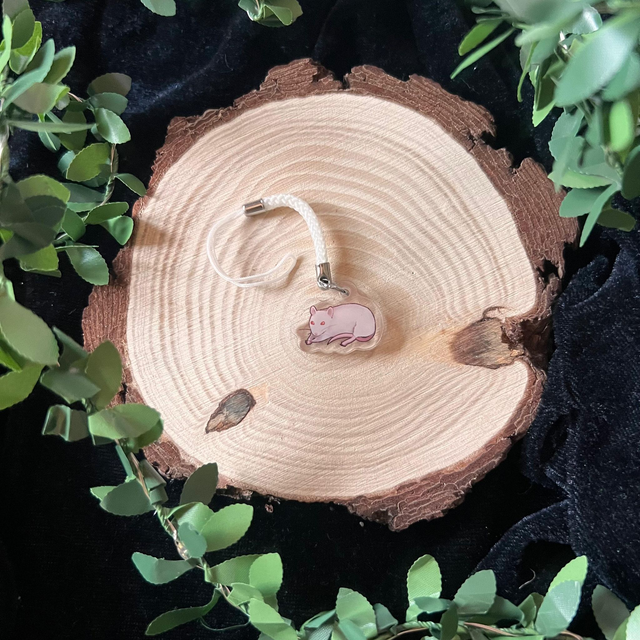 Phone Rata // rata estirada