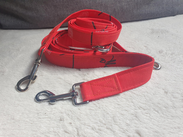 TIP_Laisse ◾️Chinese