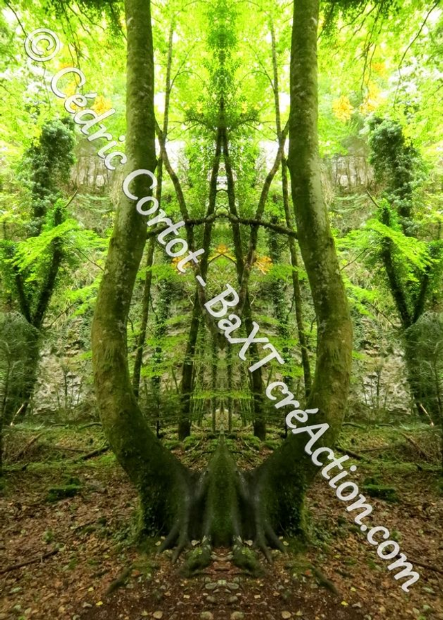 Carte postale - Entre réel et irréel (Ref IMG_1876-2)