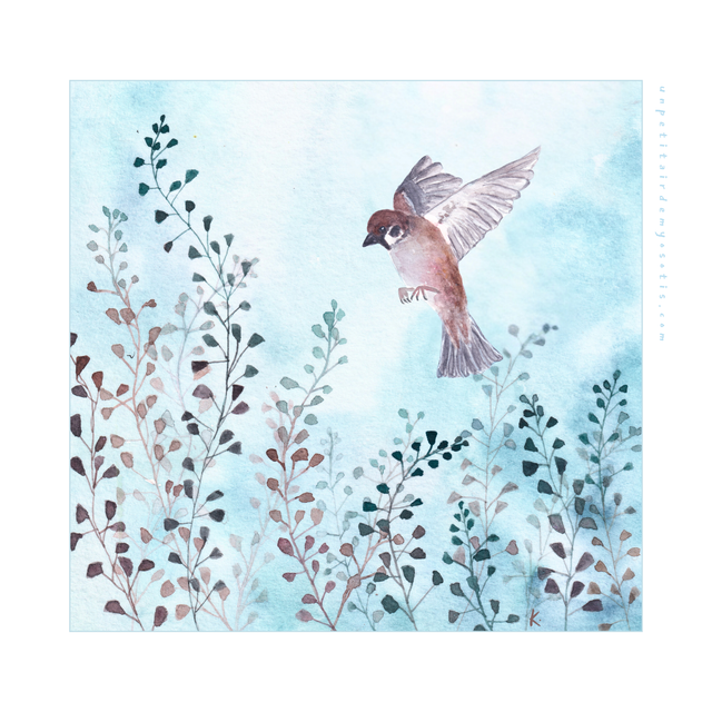 Carte postale Moineau