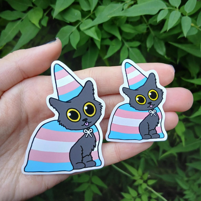 Transgender Pride Cat Sticker