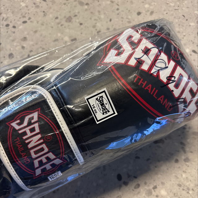 Sandee Cool Tec 16oz Boxing Gloves