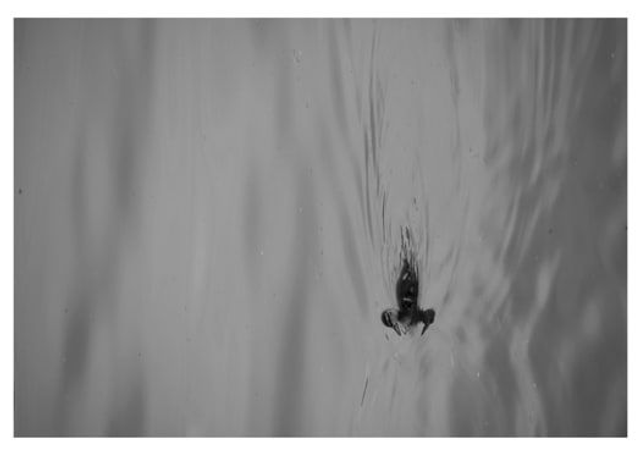 Carte Postale - Série Noir & Blanc