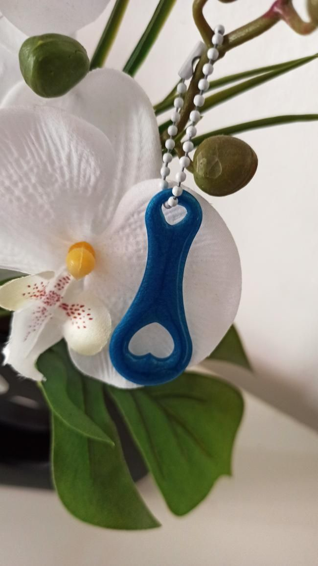 Porte clé jeton de caddie JET022