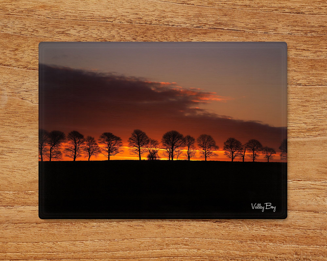 "Treeline Sunrise" Glass Worktop Saver