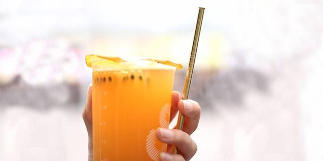 Straight Metal Straw