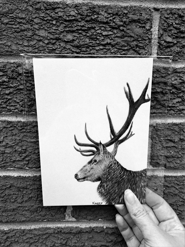 Stag Mini Print