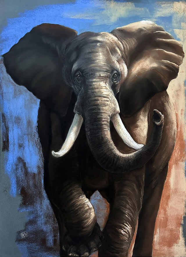Elephant 2