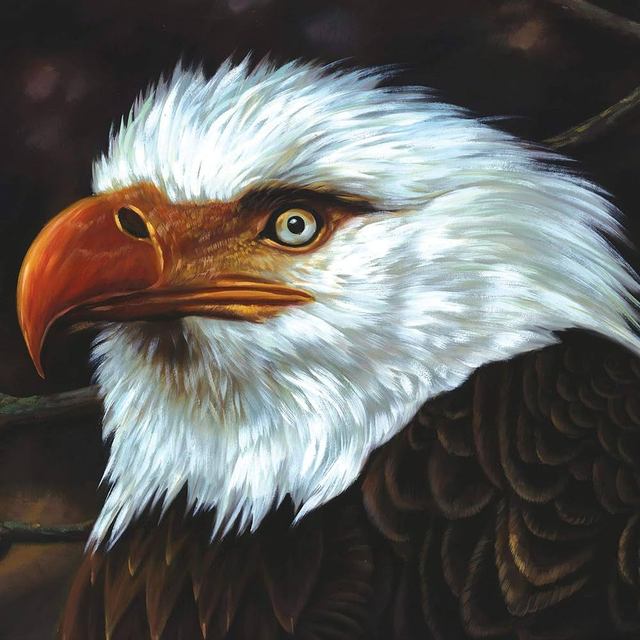 Mogwai - The Hawk is Howling [CD]/VSN