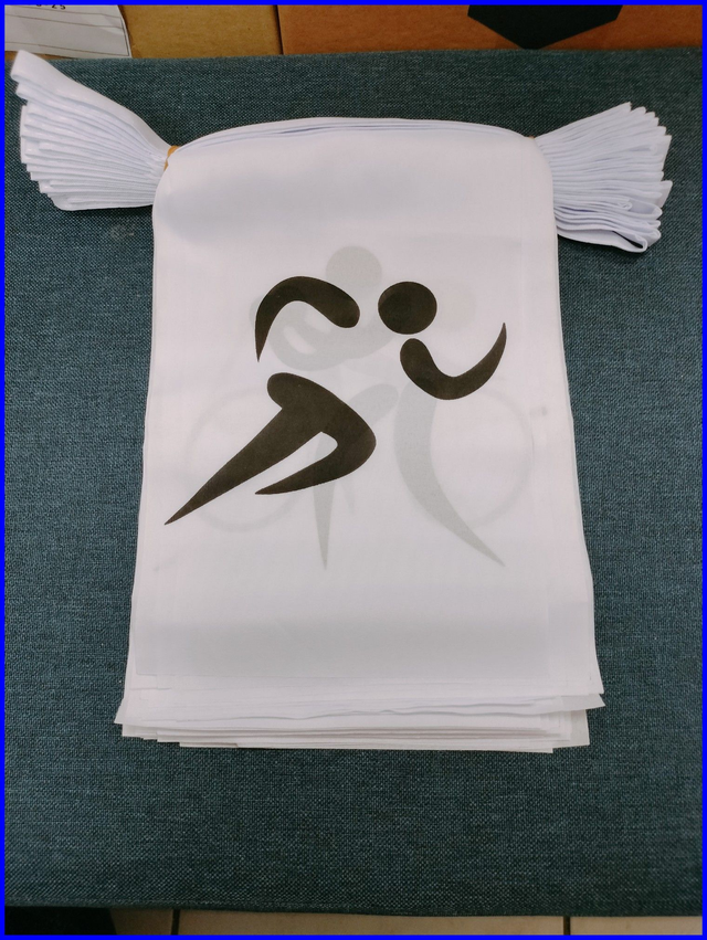 Guirlande sport olympiques - 9m