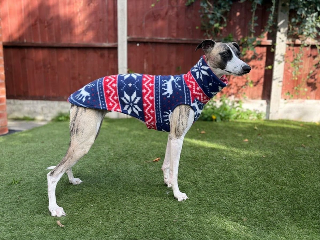 Sighthound Fit Fleece Tankie