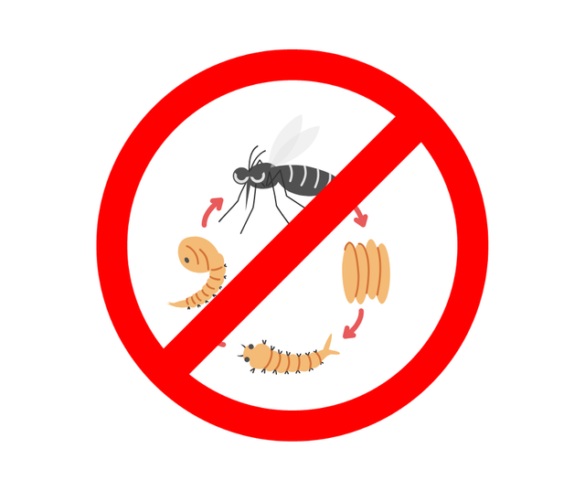 Traitement larvaire Biocide 5 à 10 gîtes