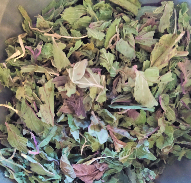 Le thé de la Nymphe verte (thé à la menthe)