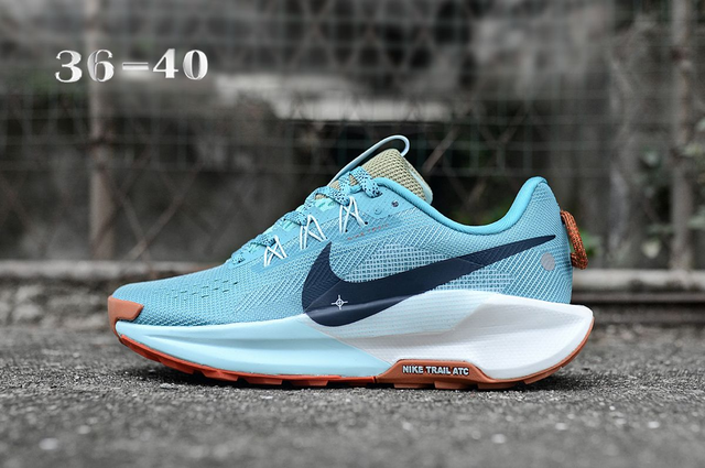 Nike Pegasus Trail 5 (Vendu sans la boîte )