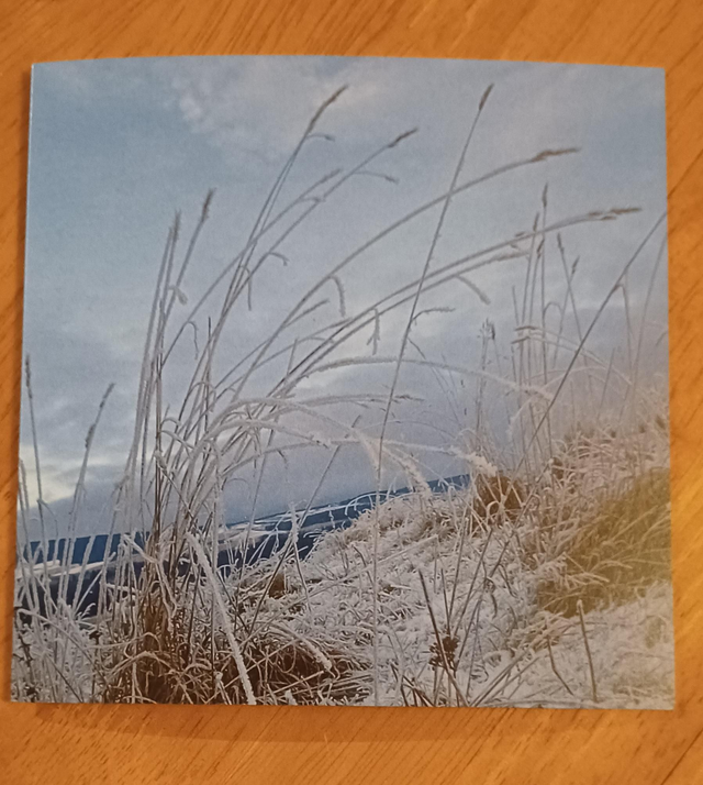 Frosty hillside grass greetings card