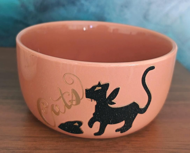 Bol pour chat( disponible)