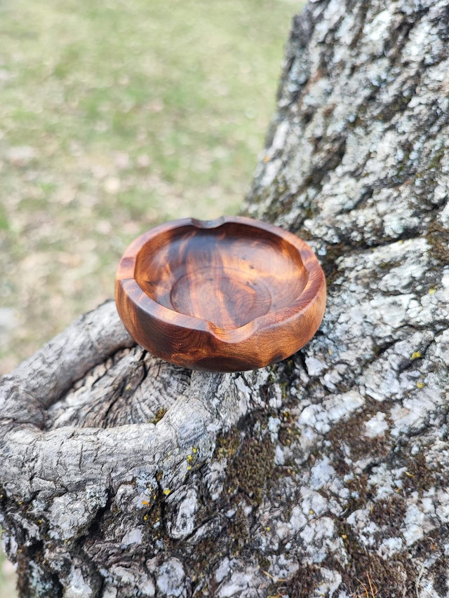 Cendrier en Bois de Ronce de Thuya