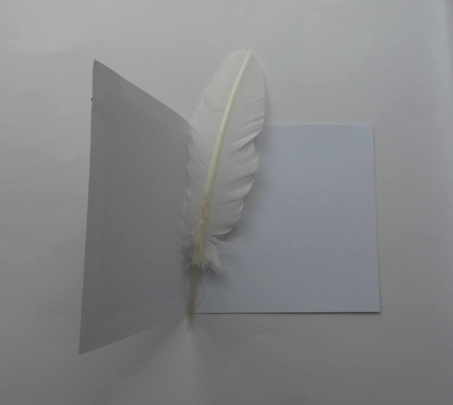 Bonne année en violet