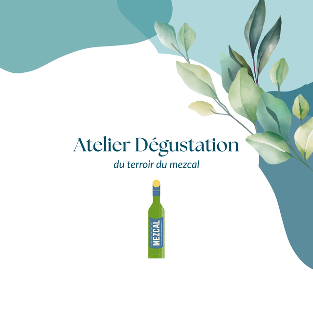 Dégustation découverte du terroir du mezcal