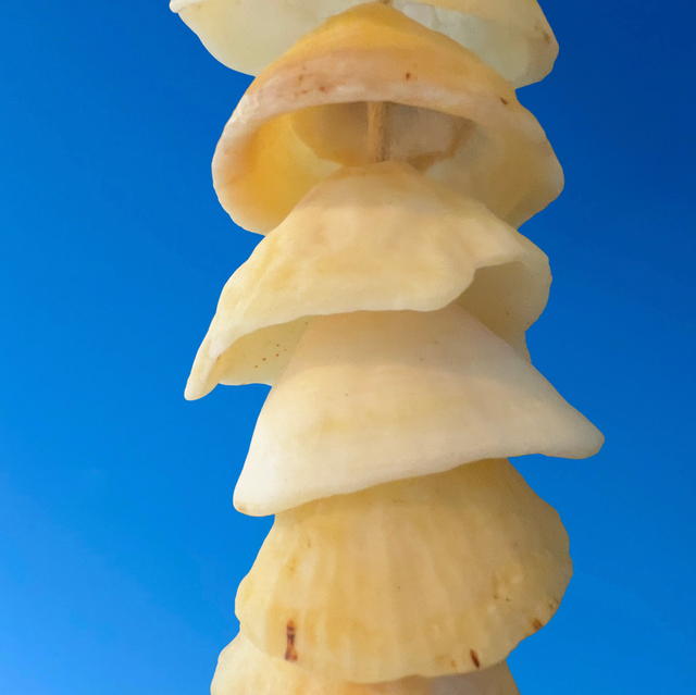 Mobile côtier 1 guirlande de 20 patelles et 1 drôle de bois flotté