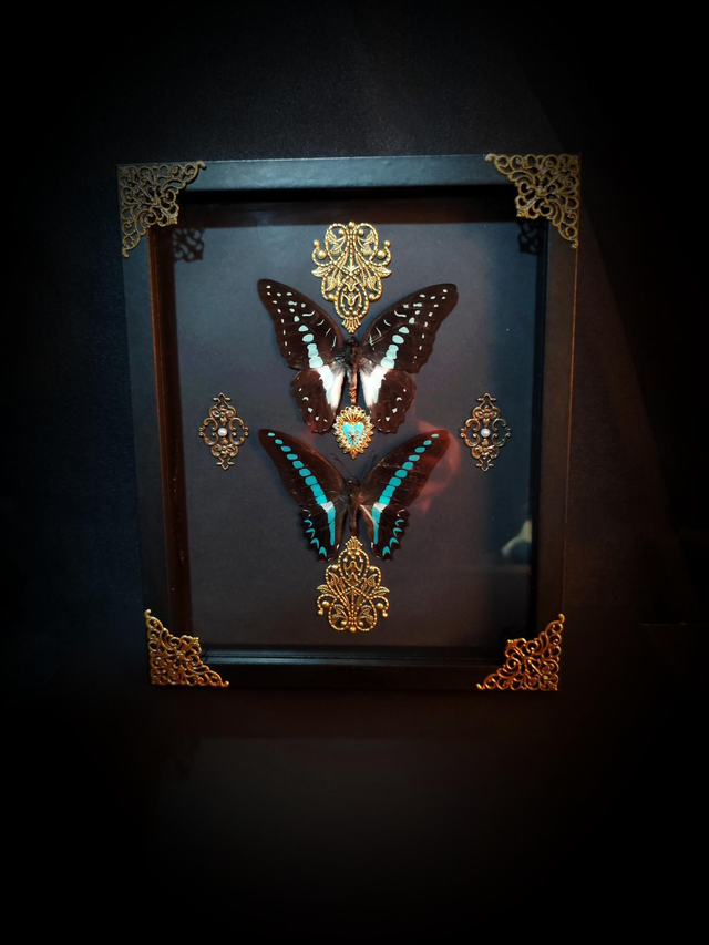 Cadre Duo de Papillons &quot;Graphium&quot;